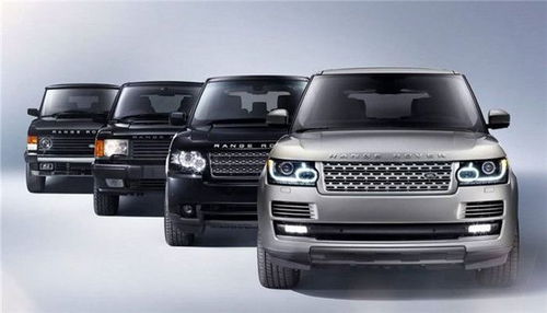 我國汽車租賃市場 發展初期蓄勢待發，展覽服務助推行業騰飛